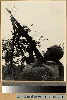 藏品(東戰場之機動砲兵)的圖片